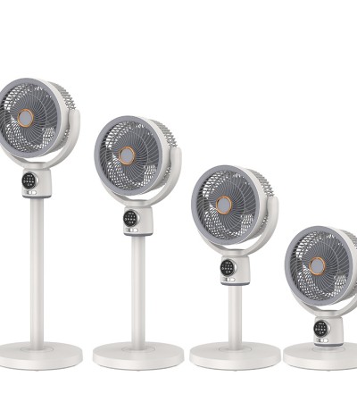 fan