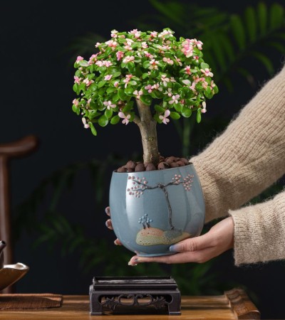 potted