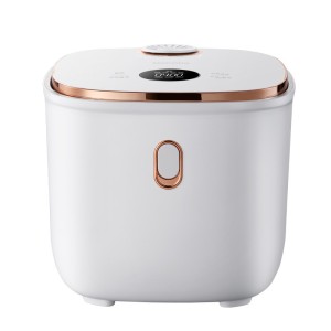 Rice cooker