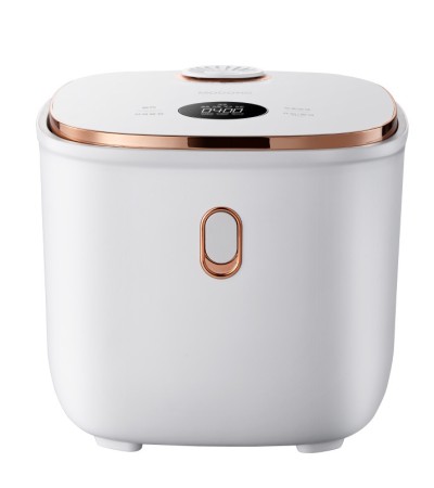 Rice cooker