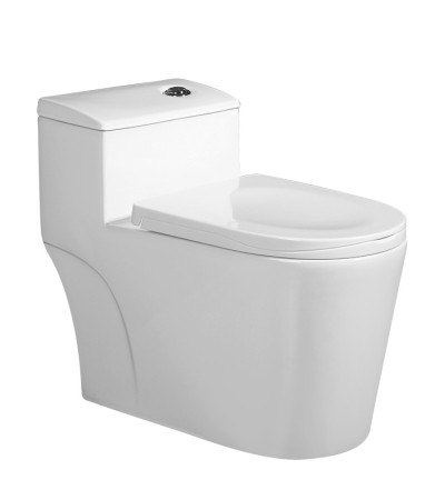 Sanitary porcelain ware