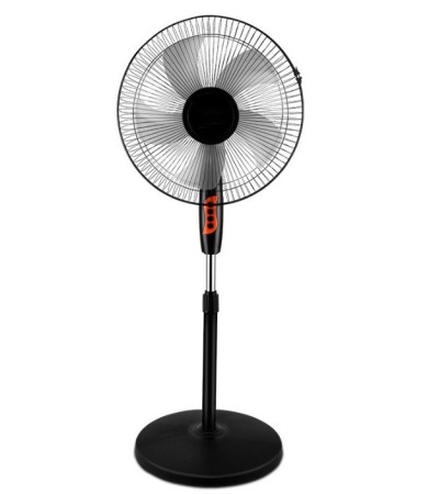 fan