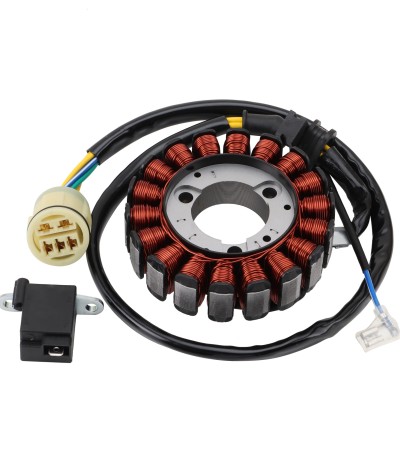 Motorcycle stator ignition coil bearing accessories Spark plug