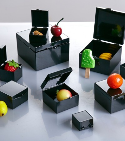 Medicine storage box, light proof box, black square plastic box, water resistant and light proof box, minimalist