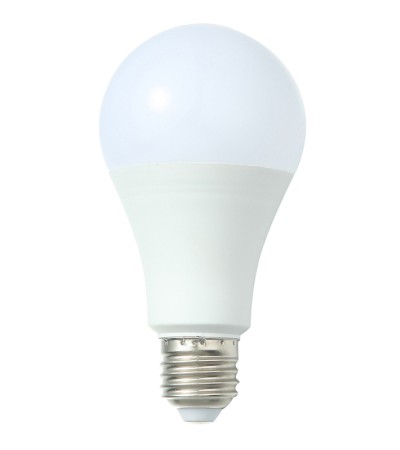 bulb