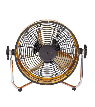 fan