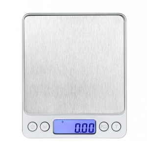 Electronic scale
