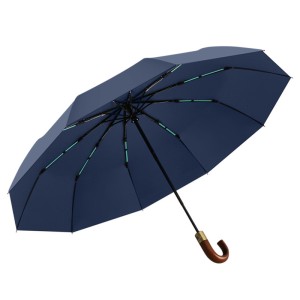 umbrella