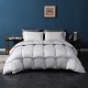 Duvet 95 white goose down