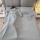 Anti dirty sleeping bag