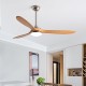 FAN LIGHT